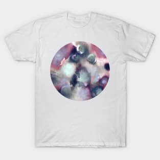 Organic Abstract 2 T-Shirt